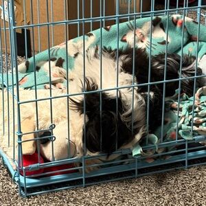 Cozy Pet Blanket with Floral Design